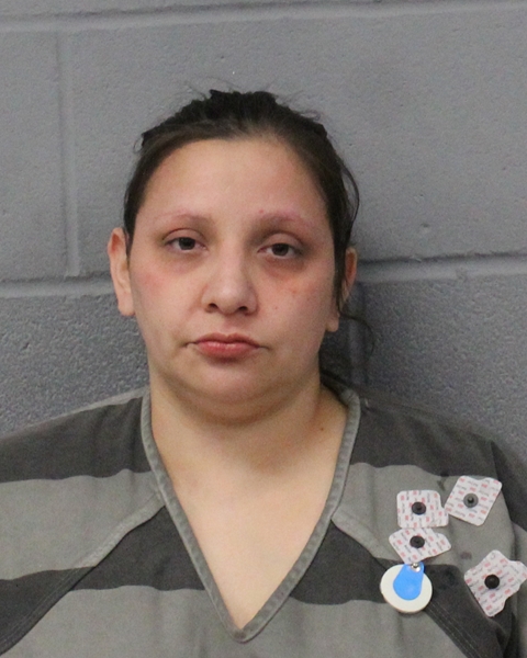 JANNETTE CASTILLO arrested in Austin, Texas