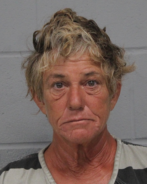 LANA HARRIS arrested in Austin, Texas