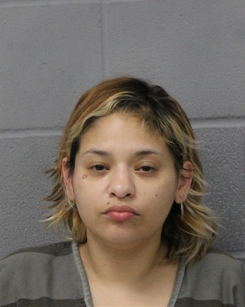 MELISSA SALINAS arrested in Austin, Texas