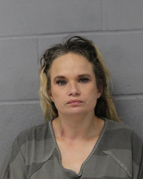 MELODY TRUESDALE arrested in Austin, Texas