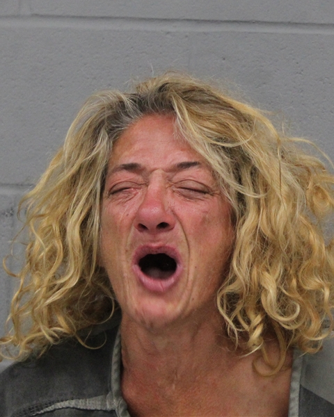 LISA LANIER arrested in Austin, Texas