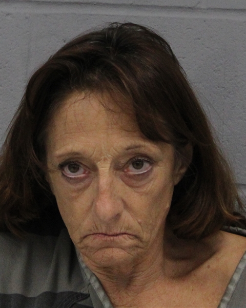 LISA MARSHALL arrested in Austin, Texas