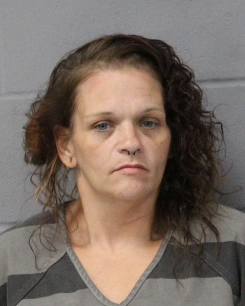 ELLEN HILDEBRANT arrested in Austin, Texas