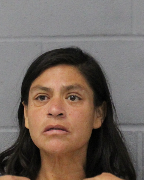 ZENAIDA RIVAS arrested in Austin, Texas