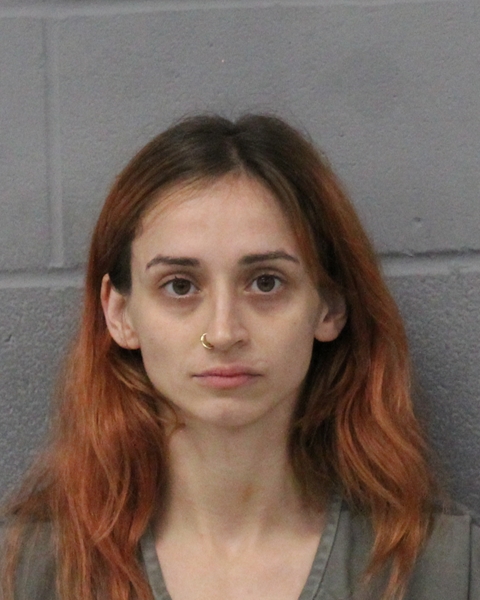 ALEXIS WIESMAN booking photo
