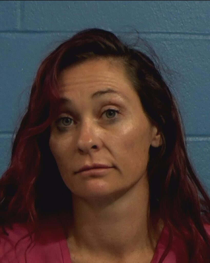 Pruett, Veronica Jean arrested in Williamson County, Texas mugshot