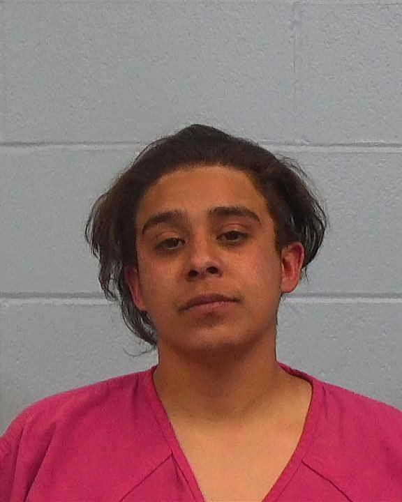 DeLara, Taylor Marie booking photo