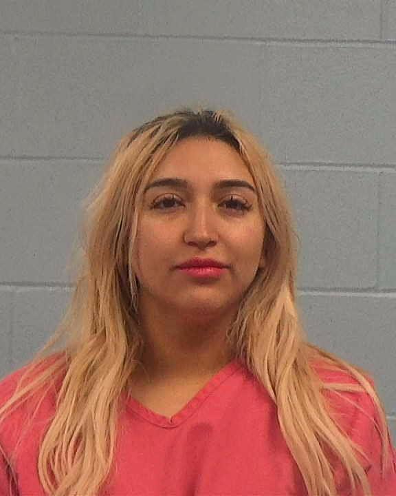 IBARRA, ALEJANDRA Lizette booking photo