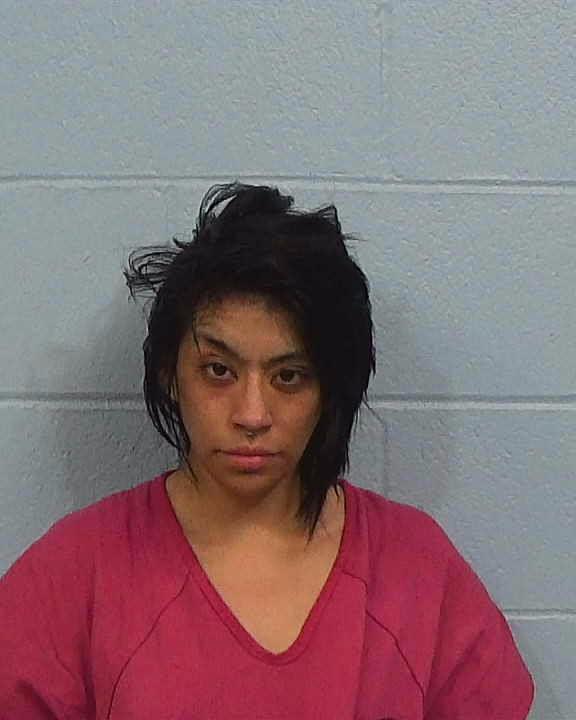 Hinojosa, Mara Elaine arrested by Williamson County PD/SO