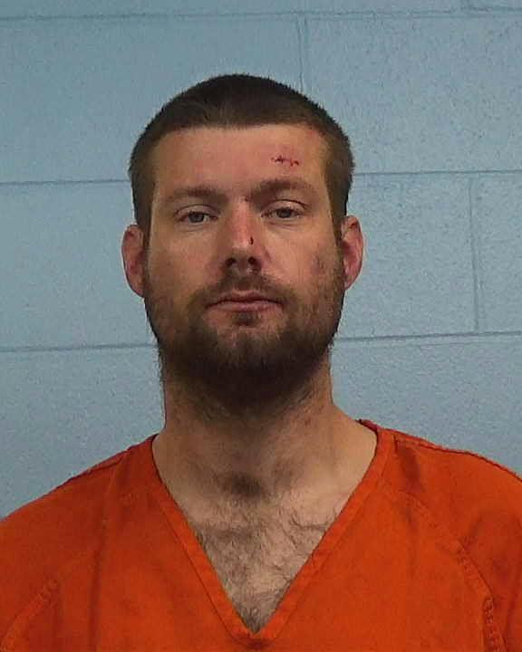 Hall, Dylan James arrested by Williamson County PD/SO