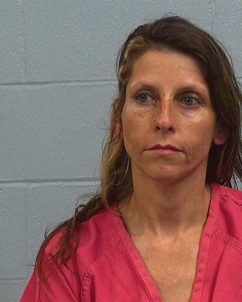 Witt, Heather Noel-Anne arrested in Williamson County, Texas mugshot