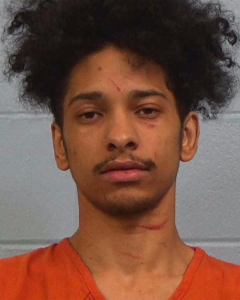 Gaines, Damien Lamont arrested in Williamson County, Texas mugshot