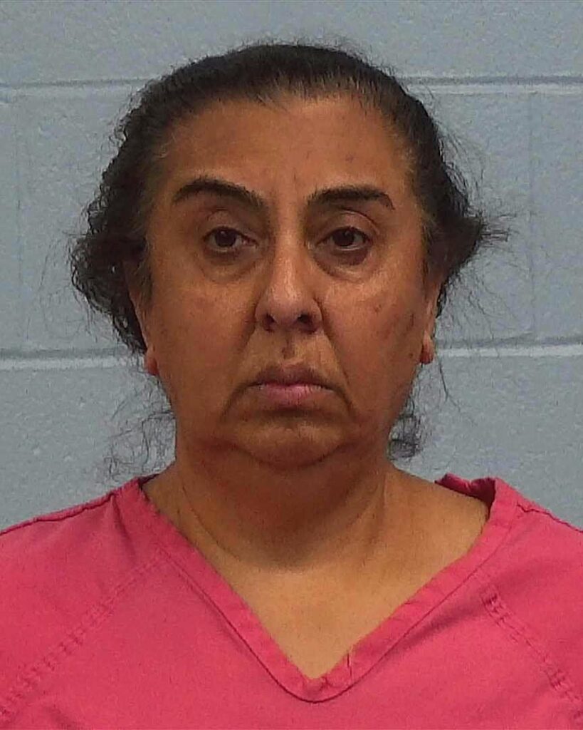 Desai, Bhasha arrested in Williamson County, Texas mugshot