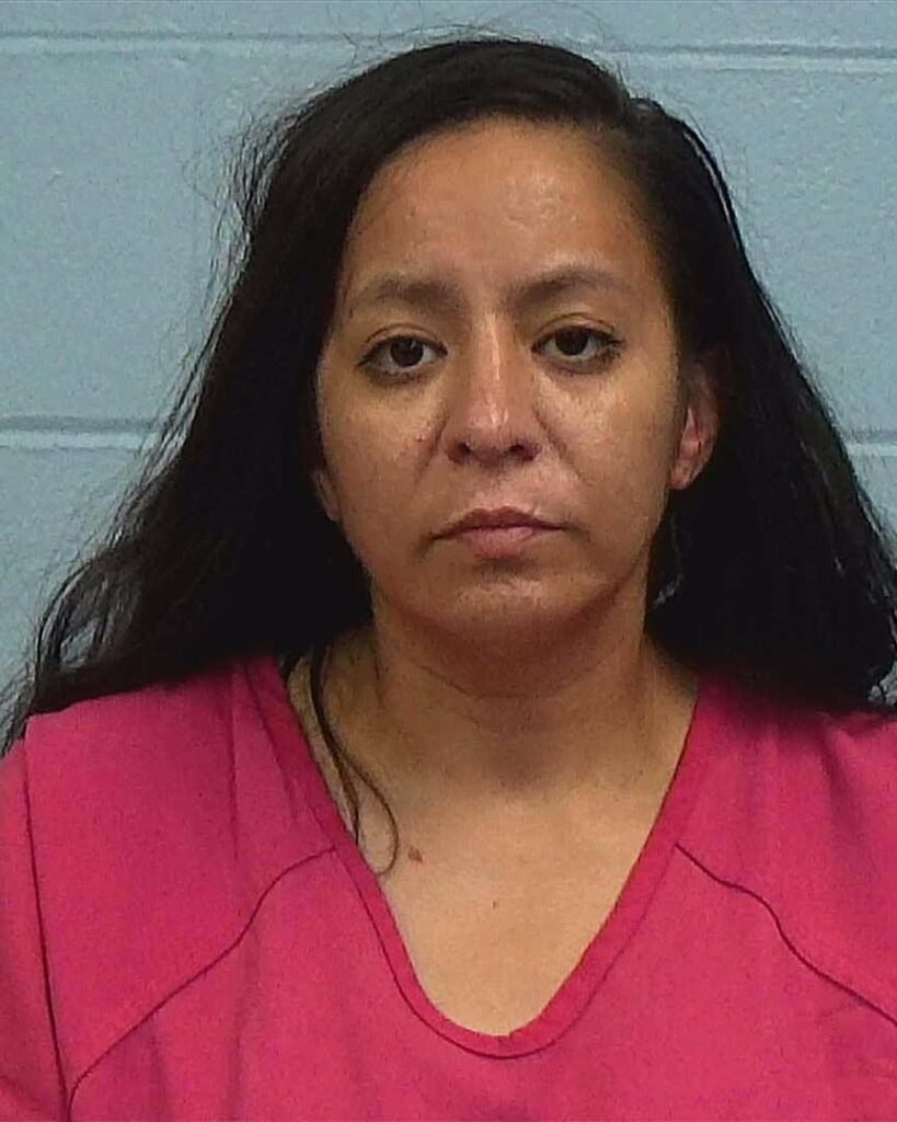Lagunas, Patricia Abigail arrested in Williamson County, Texas mugshot