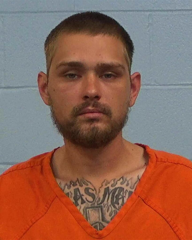 Brauer, Andrew James arrest record in Williamson County, Texas Brauer, Andrew James arrested in Williamson County, Texas mugshot