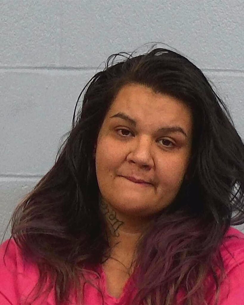 Xenitis, Marina Nicole arrested in Williamson County, Texas mugshot