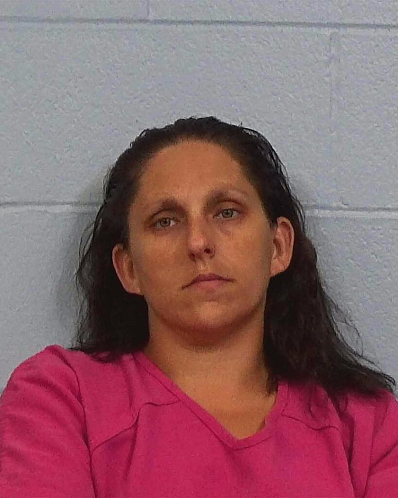 Booth, Heidi Michelle arrested in Williamson County, Texas mugshot