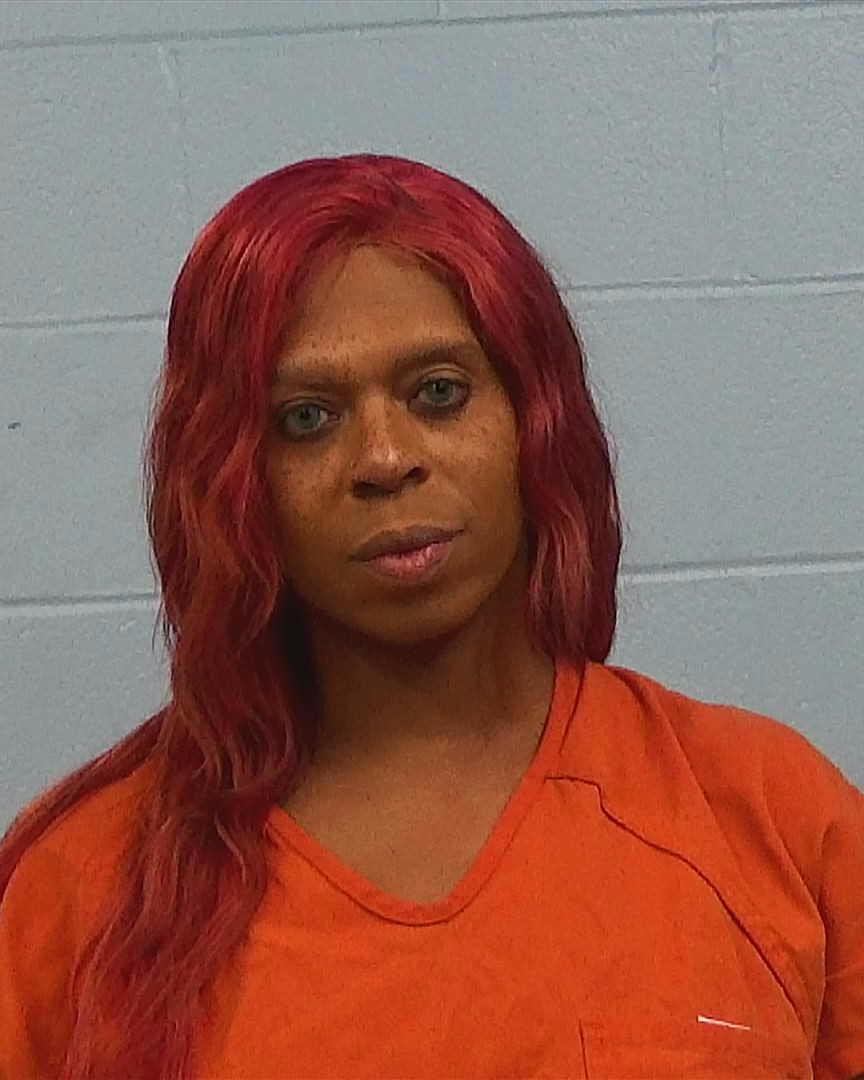 HOLLEY, MICHAEL ANTHONY arrested by Williamson County PD/SO