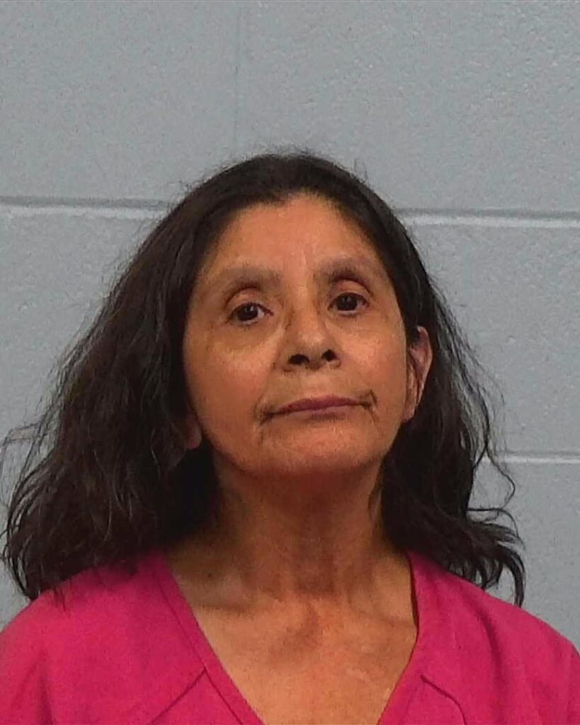 Alvarado, Lori Lynn arrested in Williamson County, Texas mugshot