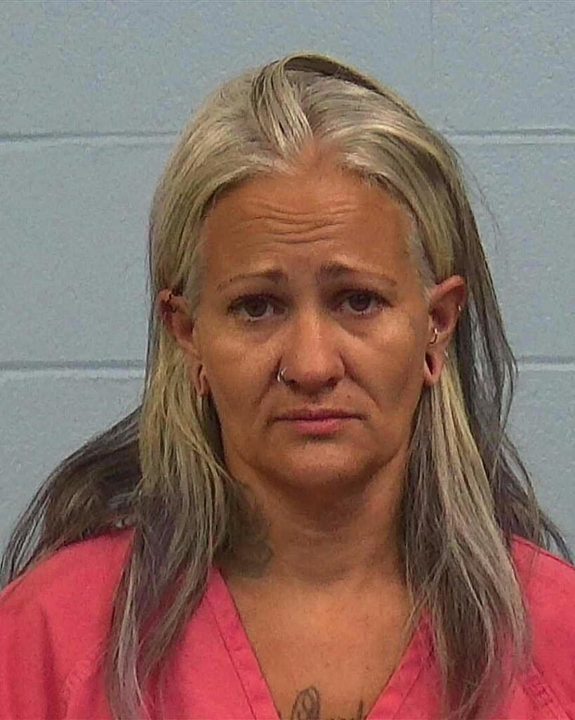 Siebens, Dannette Michelle arrested in Williamson County, Texas mugshot