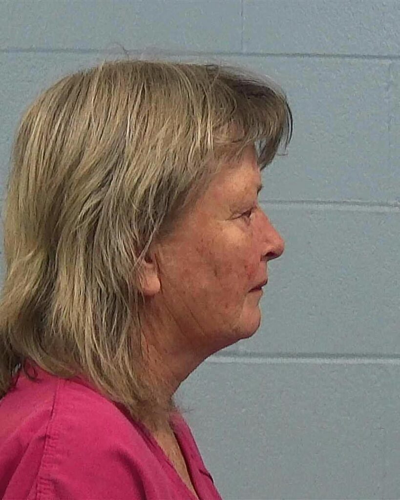 Gallant, Melissa Jane arrest record in Williamson County, Texas Gallant, Melissa Jane arrested in Williamson County, Texas mugshot