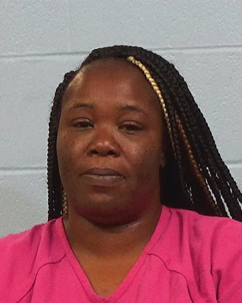 Hill, Christina Renee arrested in Williamson County, Texas mugshot