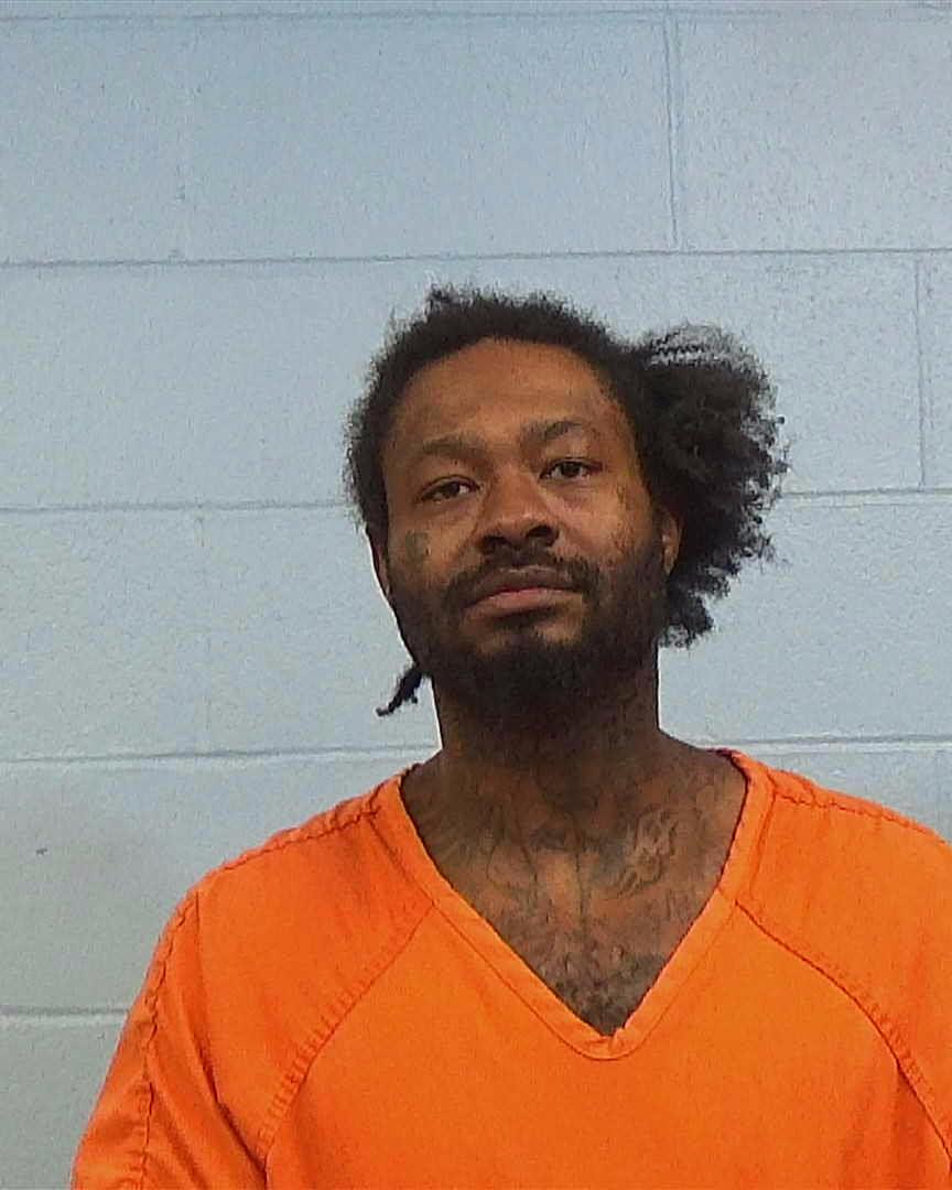 Hanes, Roy Anthony arrested by Williamson County PD/SO