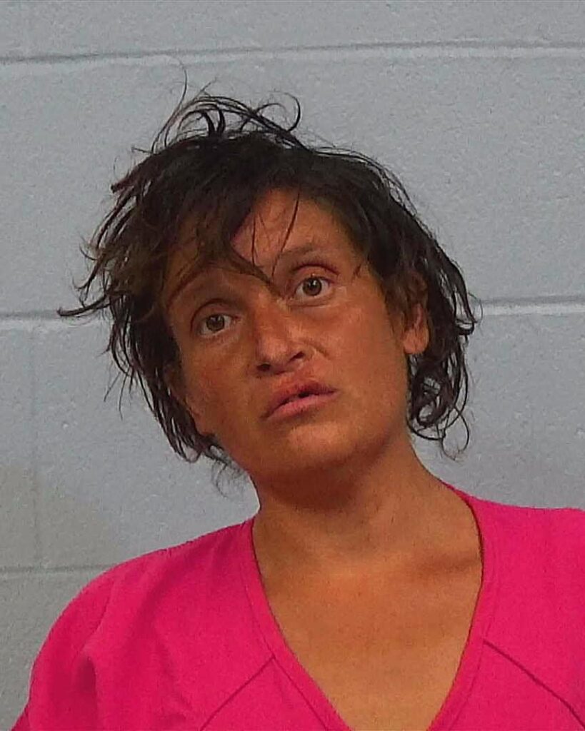 Alvarado, Valerie arrested in Williamson County, Texas mugshot