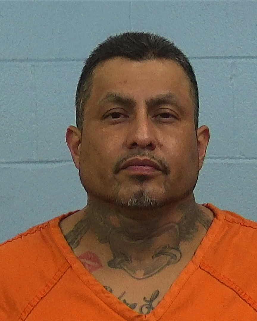 Castillo, Guadalupe Ramon booking photo