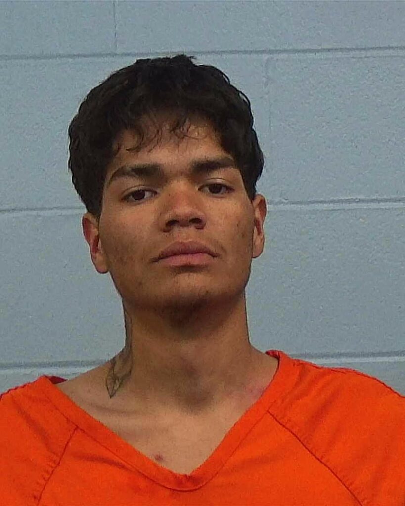 Canales, Fernando arrested in Williamson County, Texas mugshot