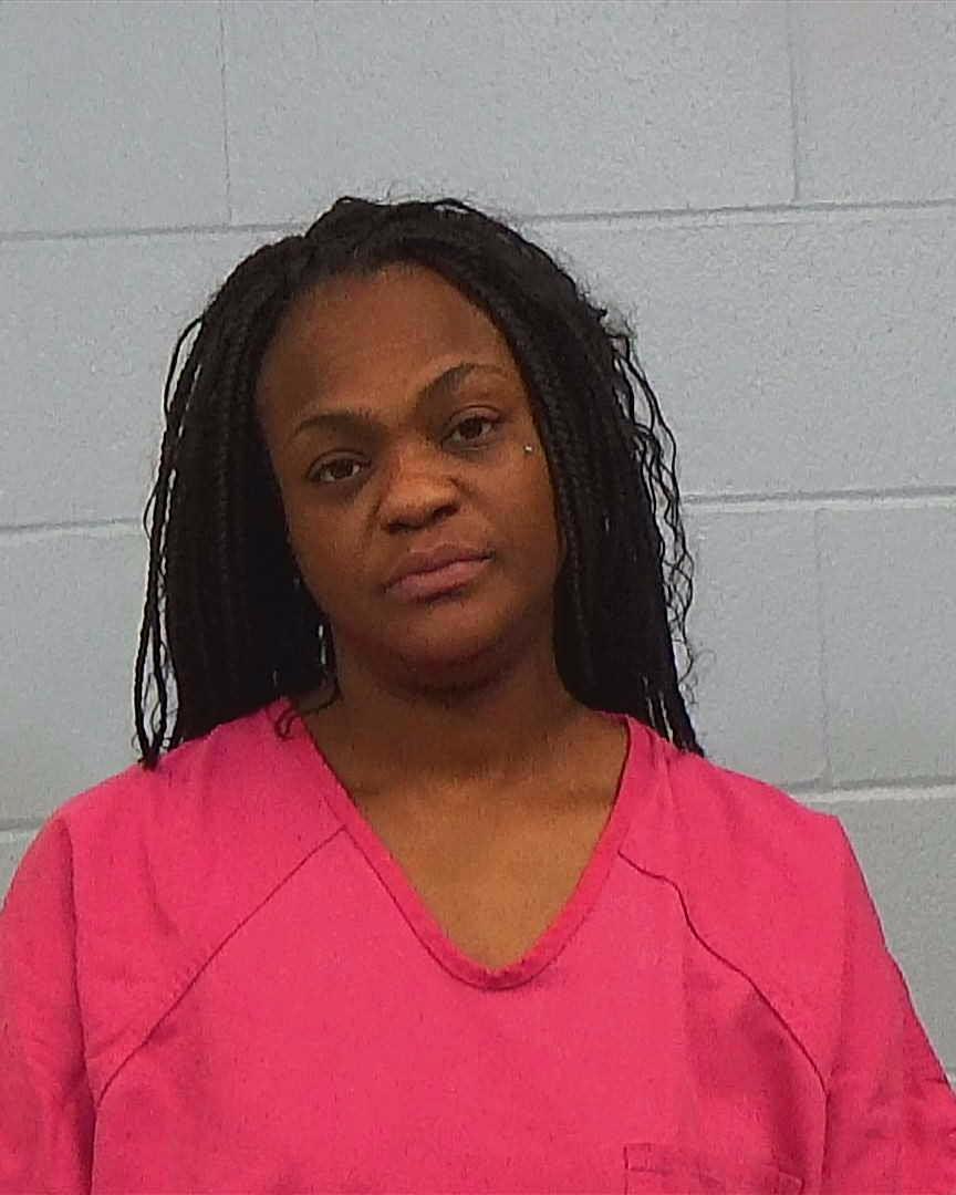 Fountain, Danielle Nicole booking photo