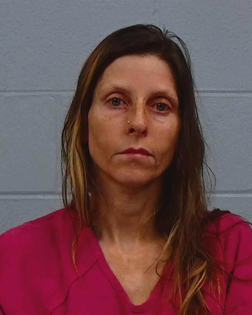 Witt, Heather Noel-Anne arrested in Williamson County, Texas mugshot