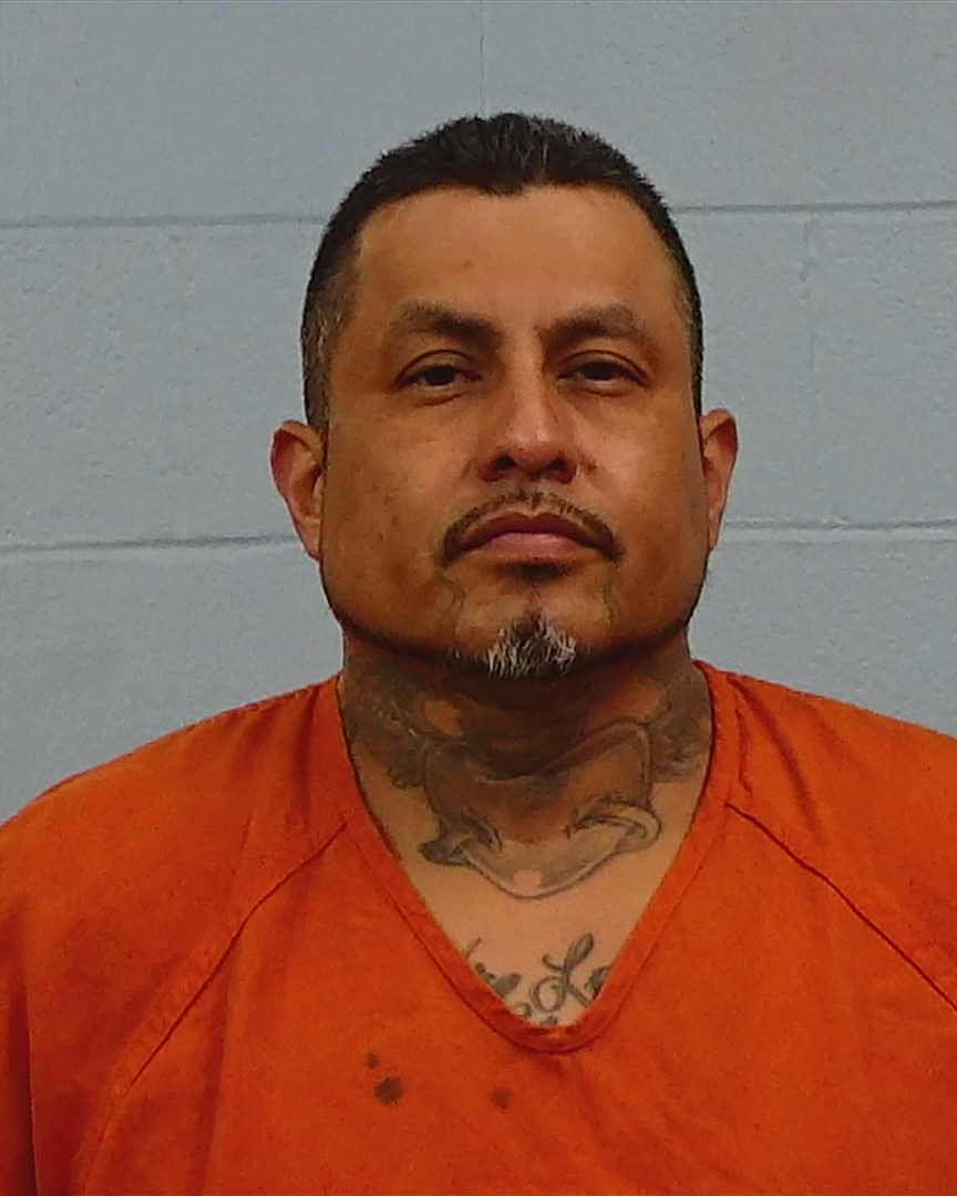 Castillo, Guadalupe Ramon booking photo