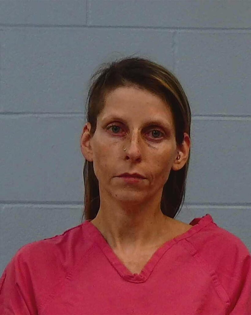Witt, Heather Noel-Anne arrested in Williamson County, Texas mugshot