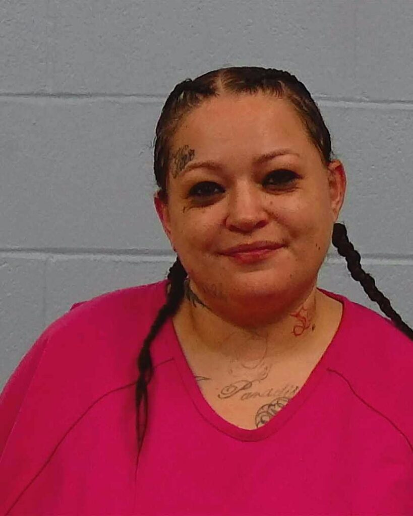 Campos, Priscilla Anne arrested in Williamson County, Texas mugshot