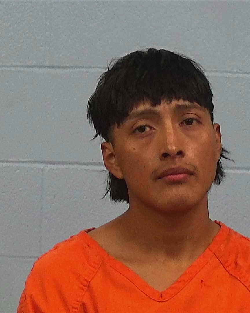 Alvarado-Fernando, Luis booking photo