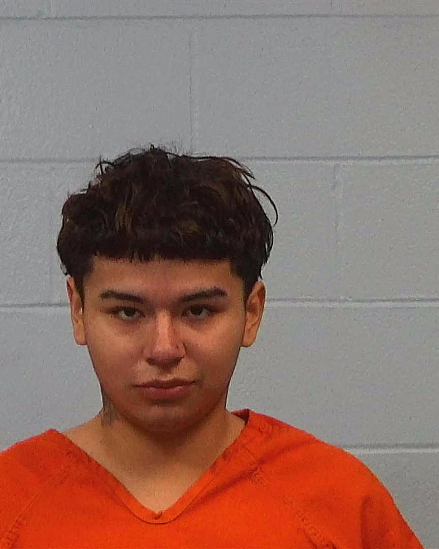 Venegas-Gutierrez, Ronald Anthony arrested by Williamson County PD/SO