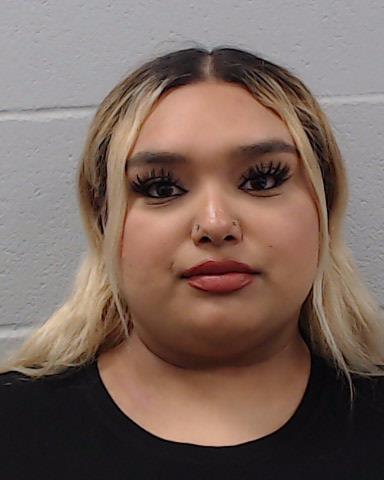 Gonzalez, Brittney Marie booking photo