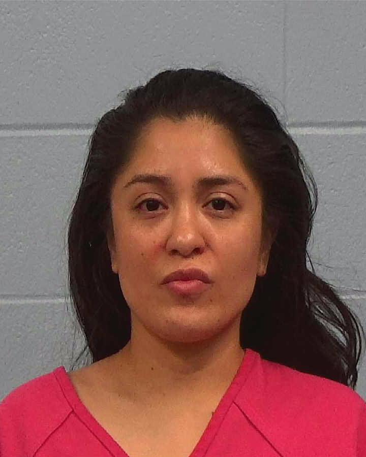 Luna Caicedo, Amy Gulliana booking photo