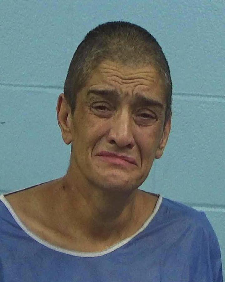 DAVIS, ANGELA ESTHER booking photo