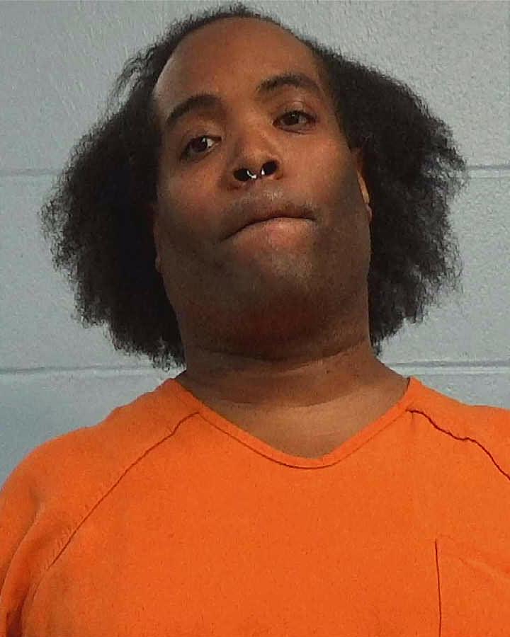 Williams, Johnnie arrested by Williamson County PD/SO