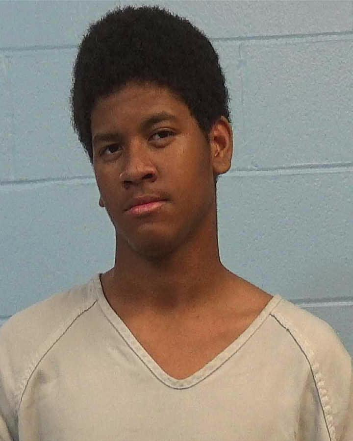 Hill, Rodney Charles arrested by Williamson County PD/SO