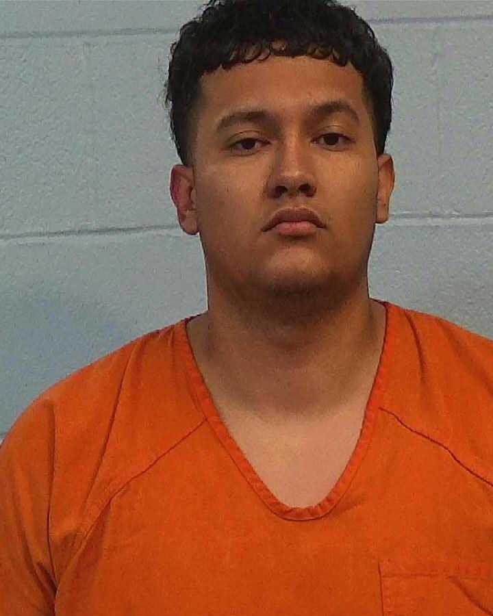 Delfin, Brandon booking photo