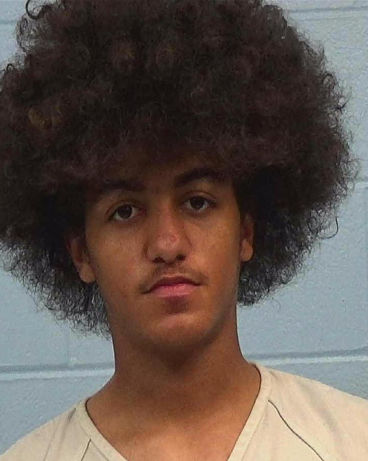 Johnson, Isaiah Doyle arrested by Williamson County PD/SO