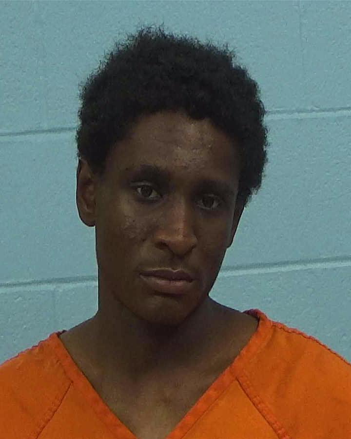 Johnson, Bryson James arrested by Williamson County PD/SO