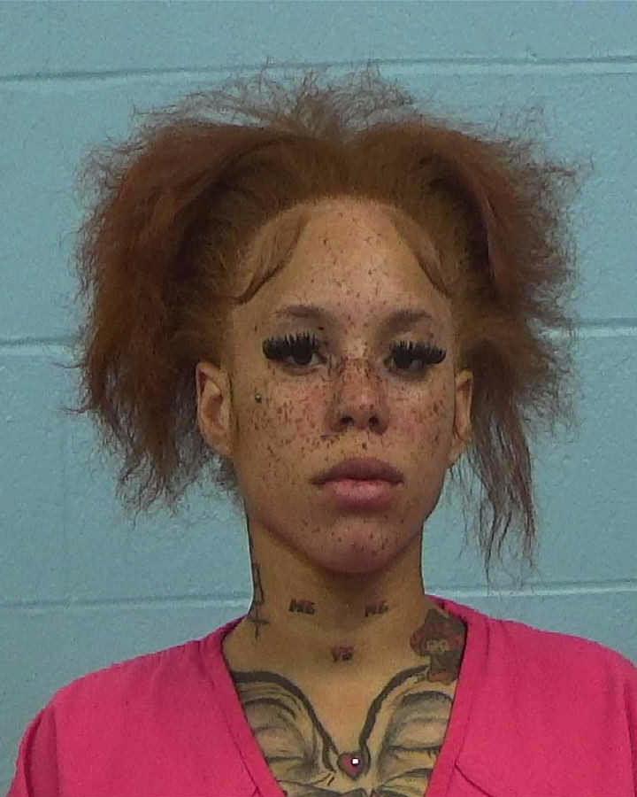 Hill, Lenia Lechell arrested by Williamson County PD/SO