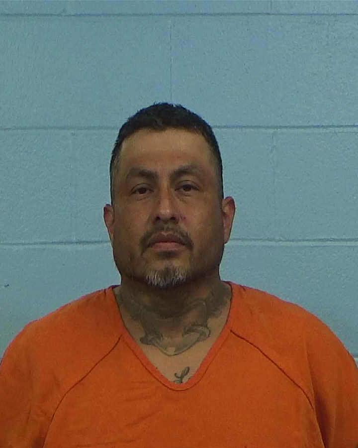 Castillo, Guadalupe Ramon booking photo