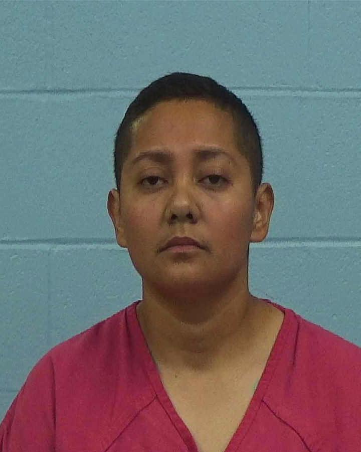 Ventura, Ana Galvan booking photo