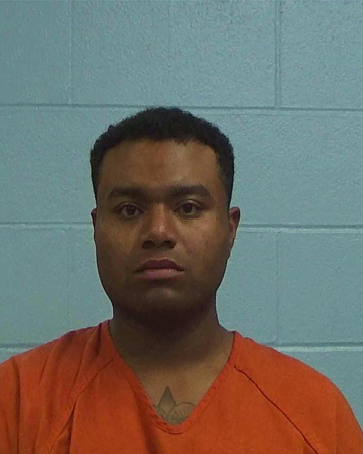 Holmes, Aubrey Eugene, Jr. arrested by Williamson County PD/SO