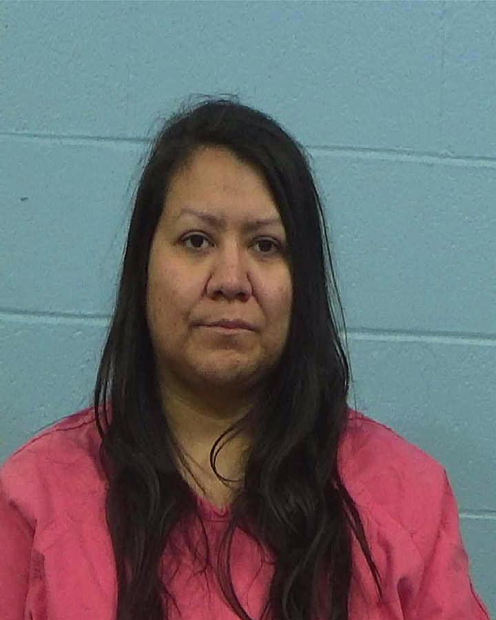 Garza, Mindy Nicole arrested by Williamson County PD/SO